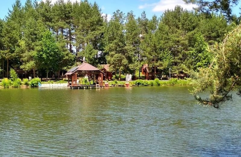 База відпочинку «Абрикос»