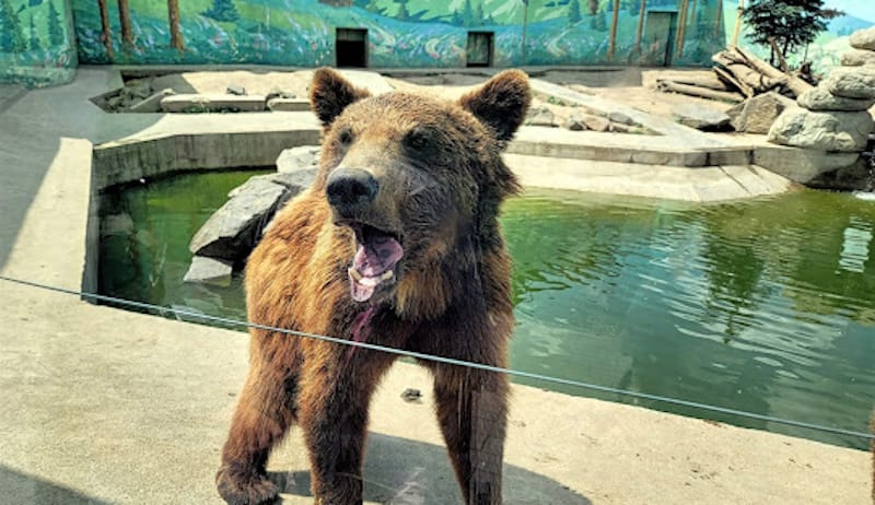 Подільський зоопарк у Вінниці
