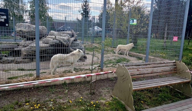 Подільський зоопарк у Вінниці