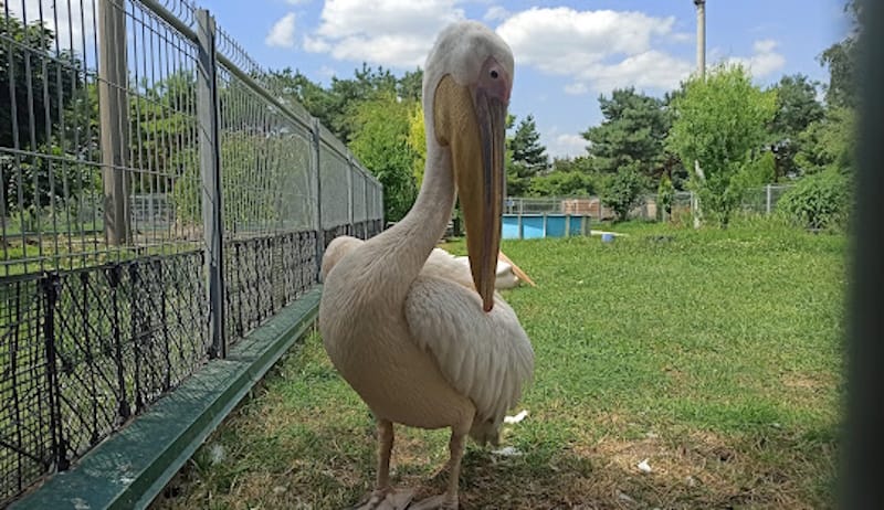 Подільський зоопарк у Вінниці