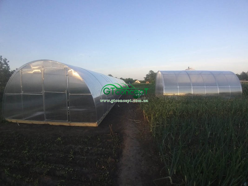 IMG_01 теплица купить