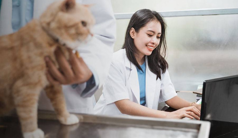 спеціалізована програма для ветклініки