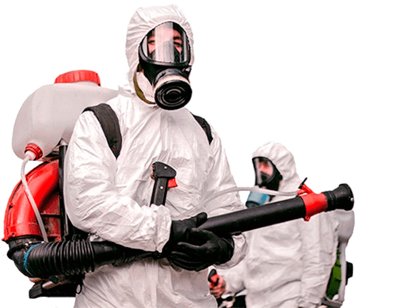 Уничтожение клопов в Киеве