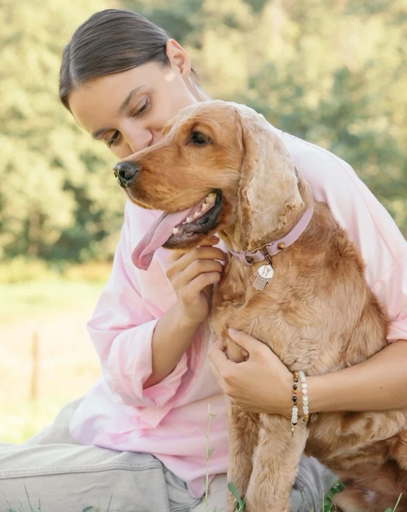 собака на прогулке