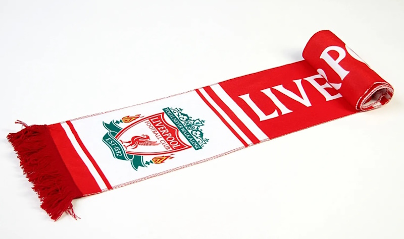 IMG_01 Шарф с логотипом