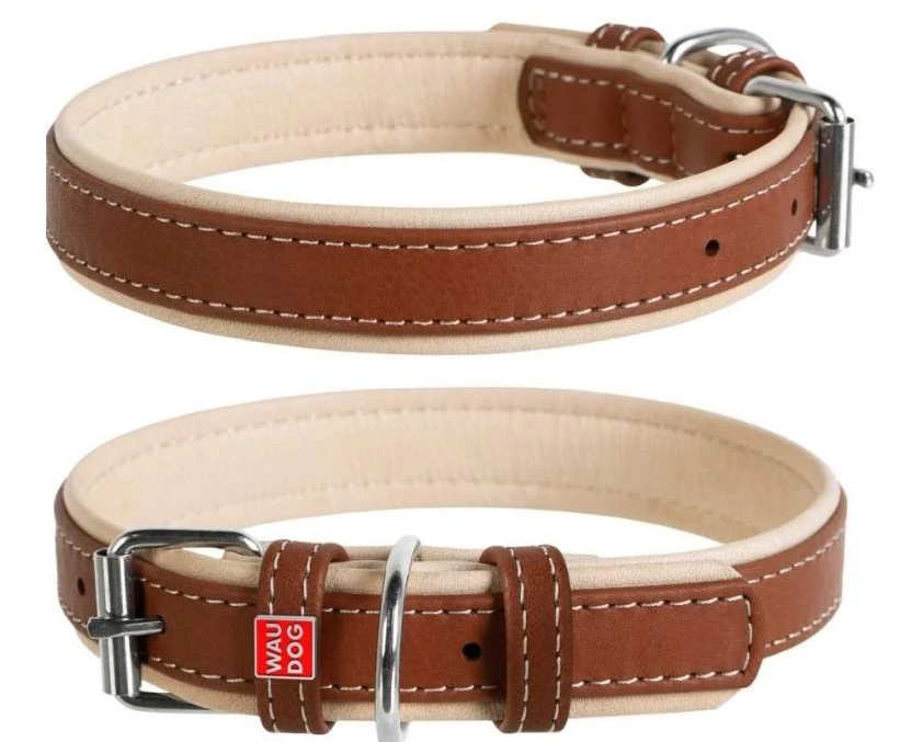 IMG_01 нашийник