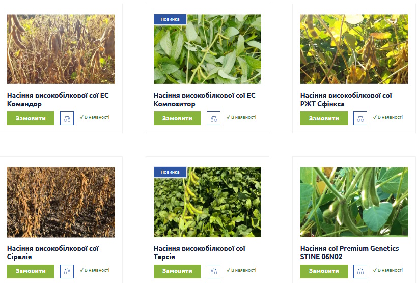 Насіння сої