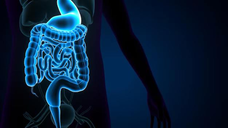 диагностика ЖКТ