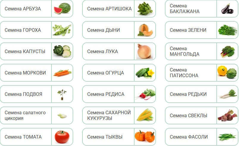 заказ семян